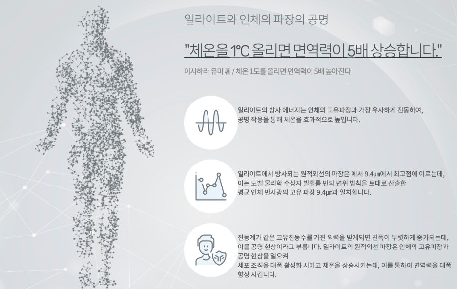 수목토일라이트예산 이미지