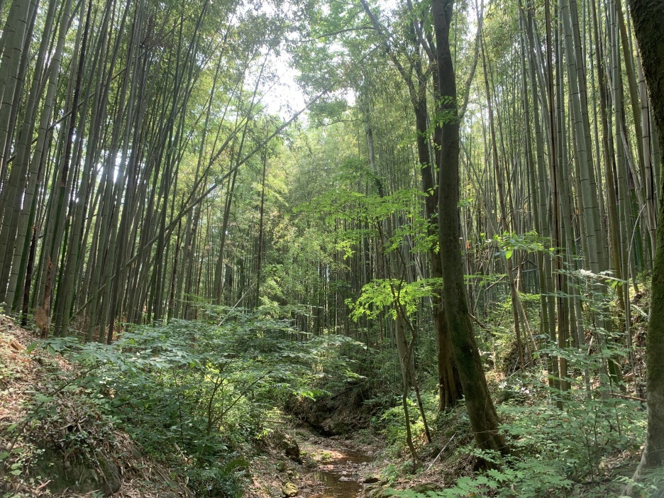 림카페 이미지
