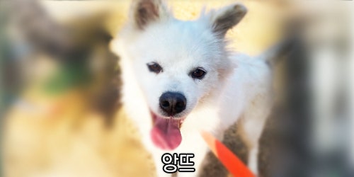 블루핸즈용원웅동점 이미지