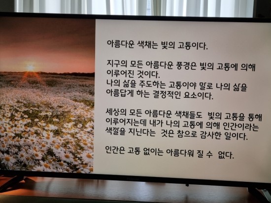 타로와사랑방 이미지