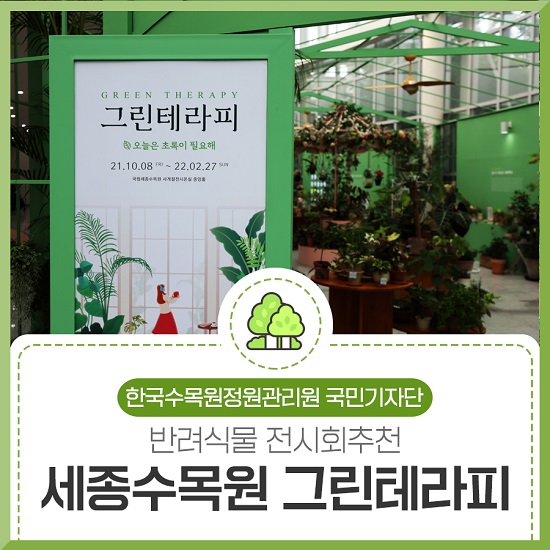 그린테라피 이미지