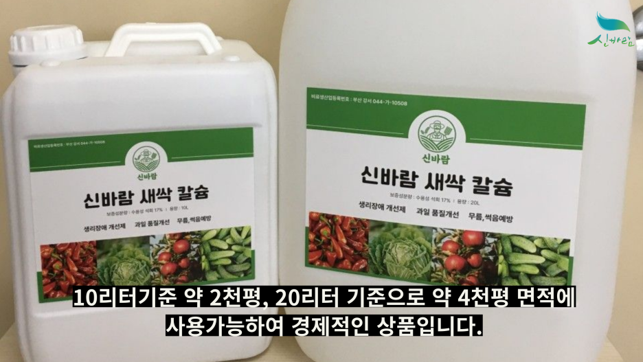 신바람과일 이미지