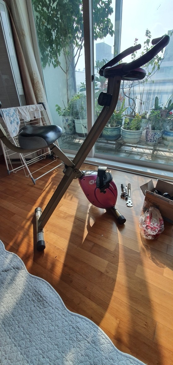 페달바이크 이미지