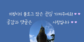가야금계탕 이미지