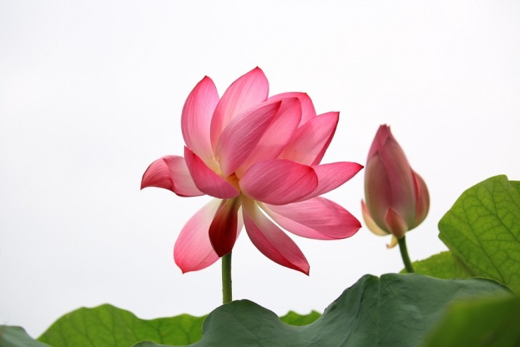 생생마을협동조합 이미지