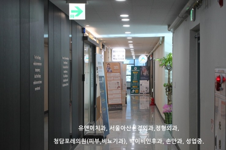 임신경외과의원 이미지