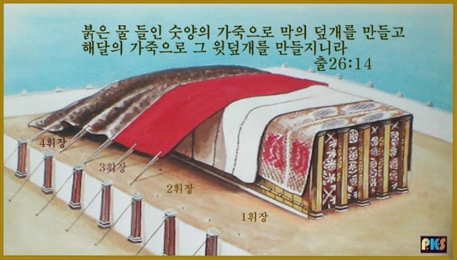 청색자색 이미지