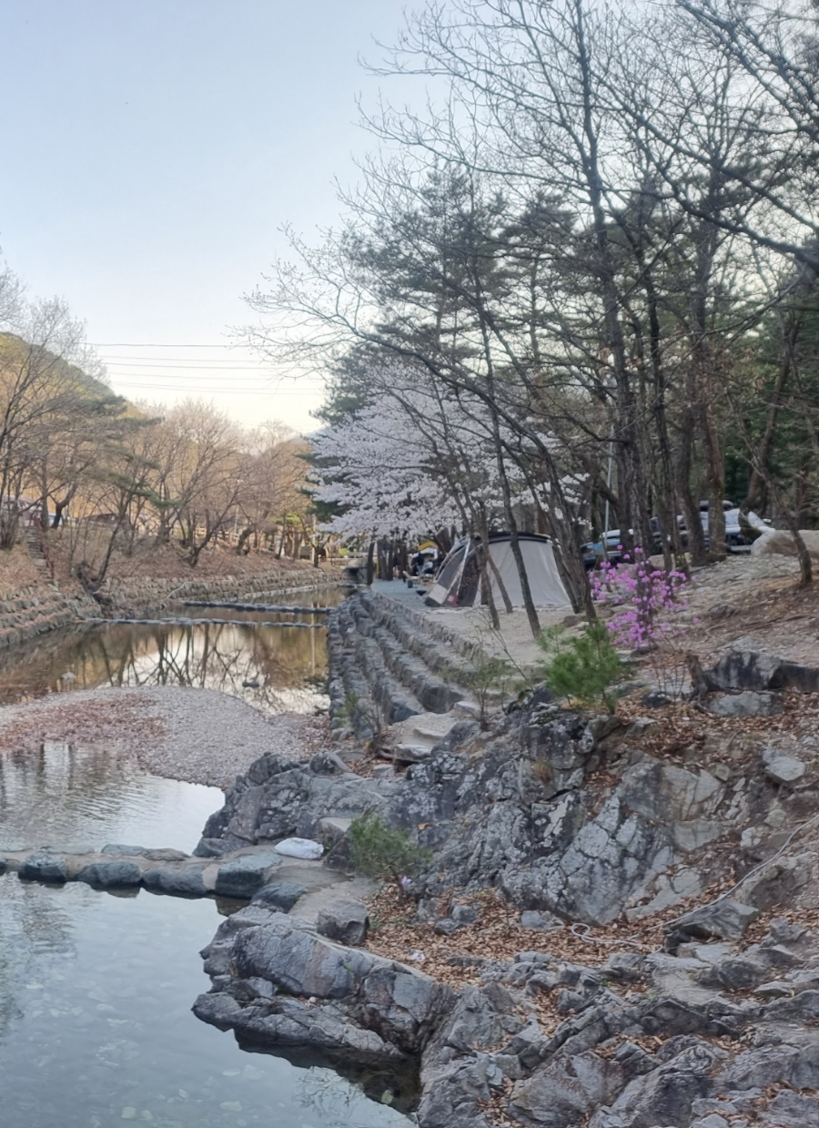 수리덤캠핑장 이미지