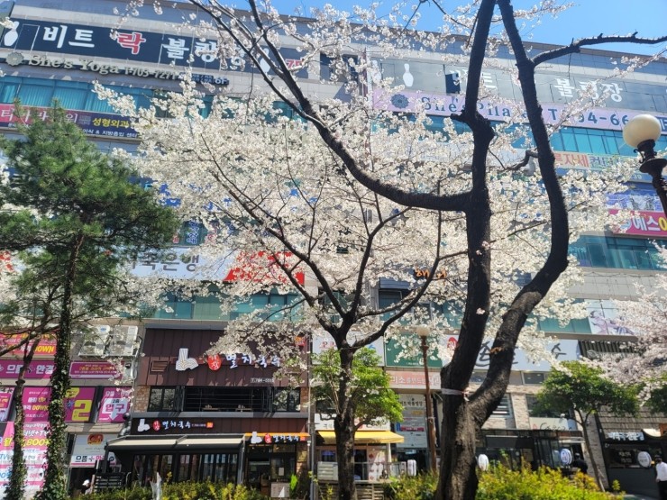 멘야산다이메 해운대점 이미지