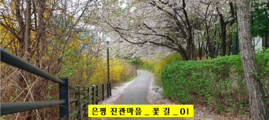꽃진관 이미지