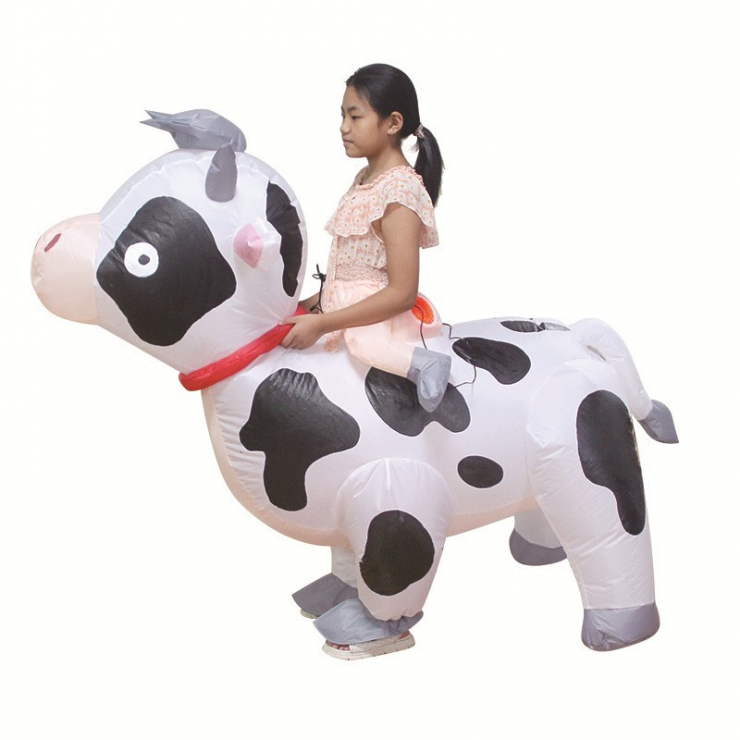 우주의류 이미지