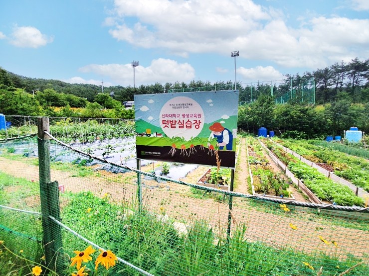김충석 수산 이미지