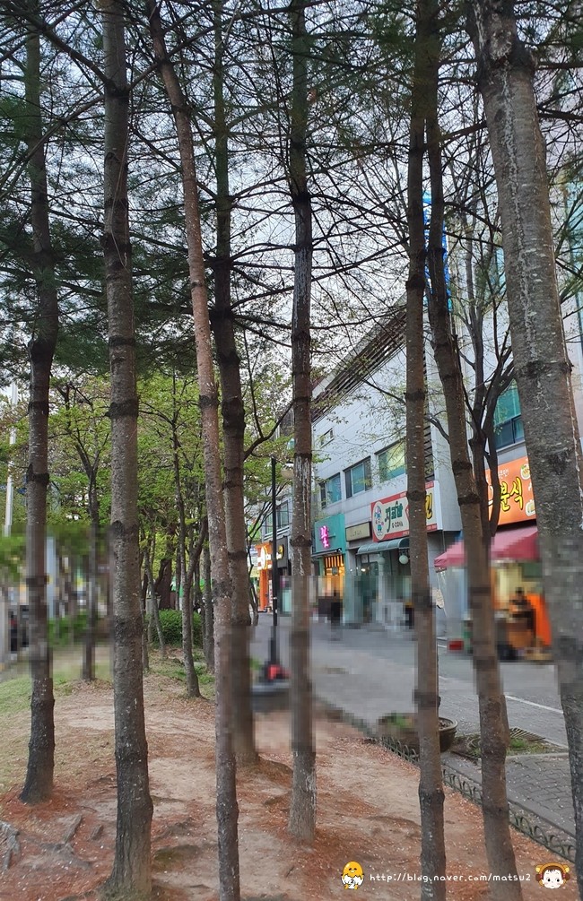 쇼몽플라워 이미지