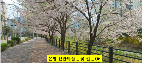 꽃진관 이미지