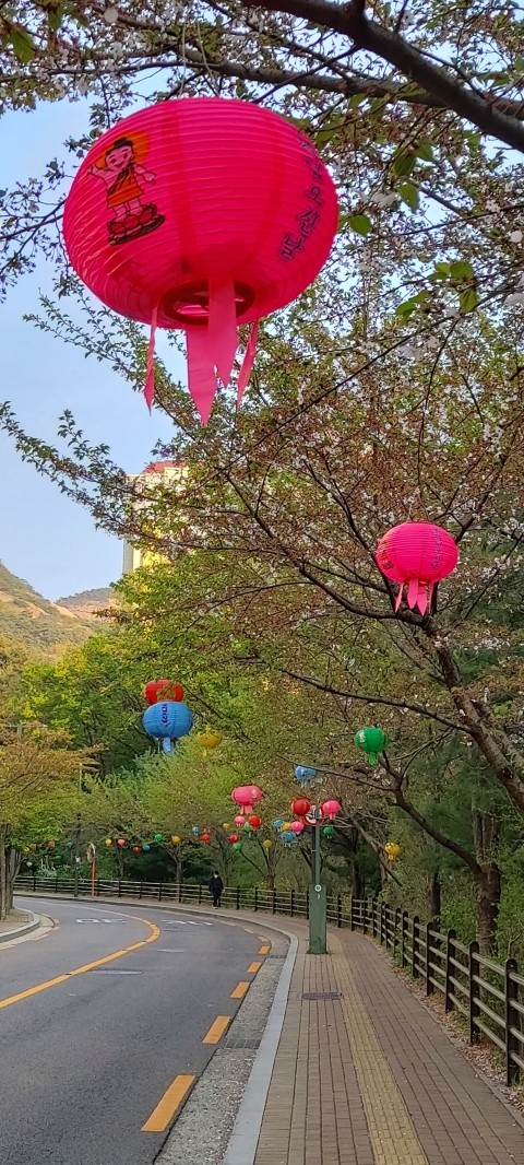 꽃진관 이미지