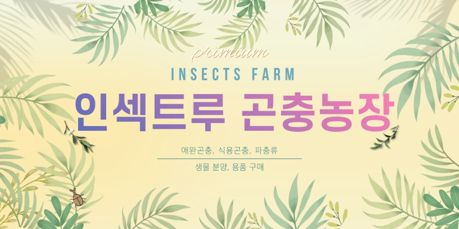 모라초등학교 이미지