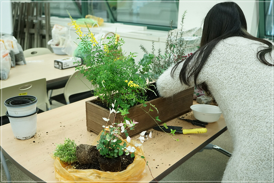 꽃과정원 이미지