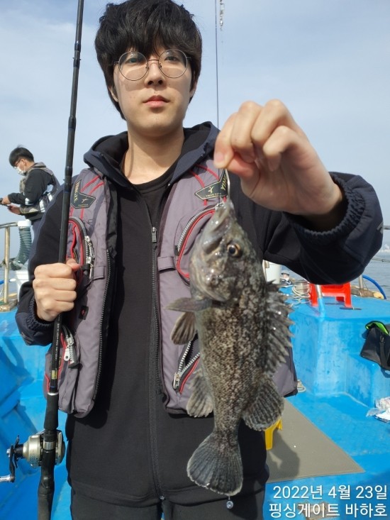 바하호 이미지