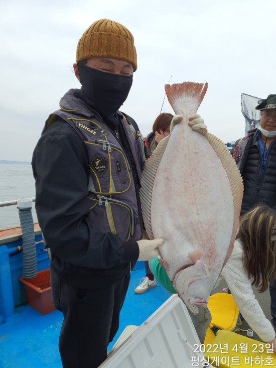 바하호 이미지