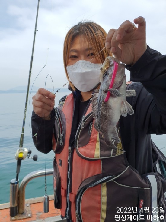 바하호 이미지