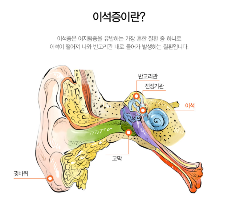 코모키이비인후과 이미지
