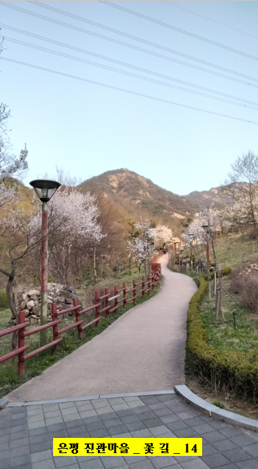 꽃진관 이미지