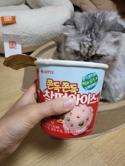 별아이스크림할인점 이미지