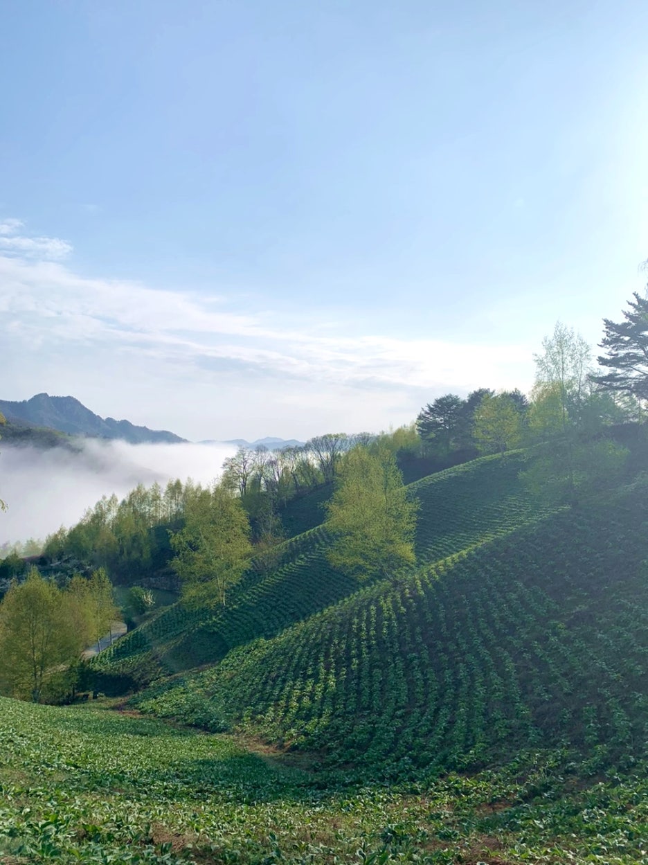 석화산농장 이미지