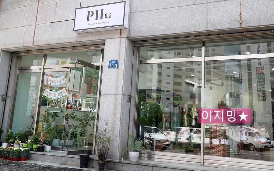 피에이치6.5 이미지