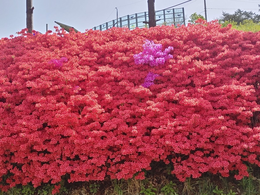 강산컴퍼니 이미지