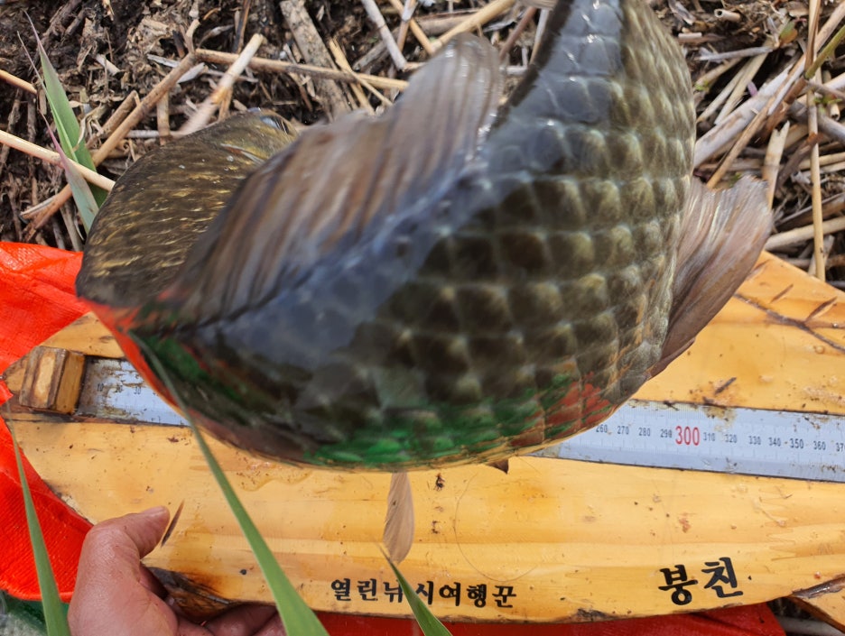 대호통신 이미지