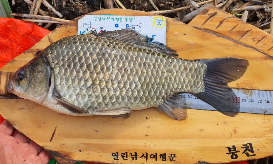 대호통신 이미지