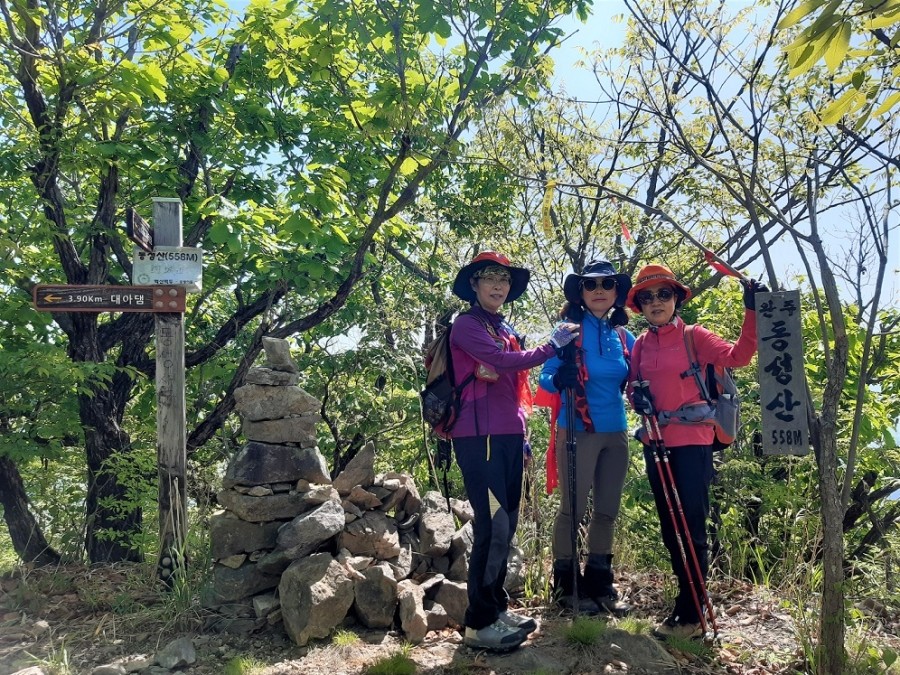 동성산전 이미지