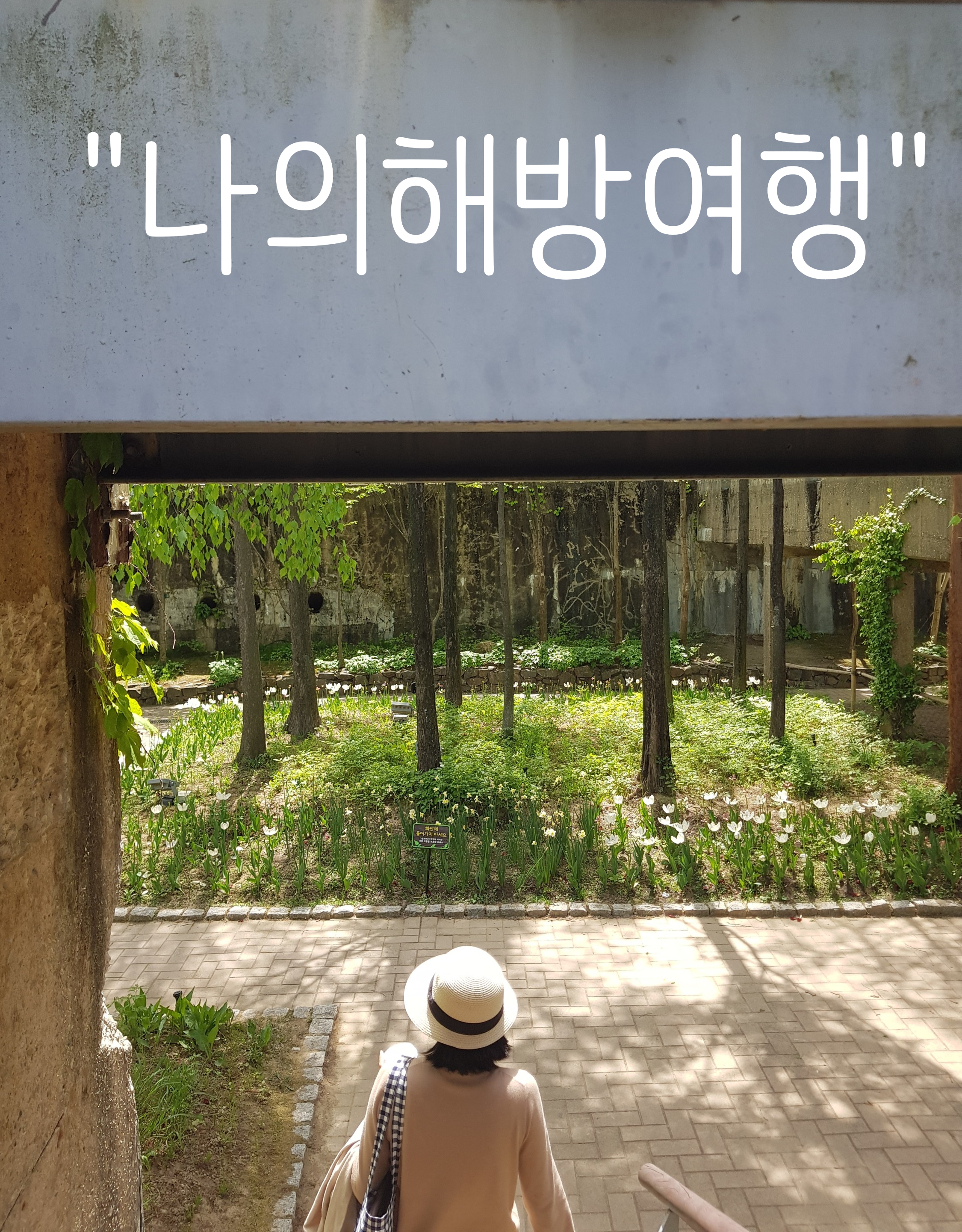 마음챙김여행백락투어 이미지