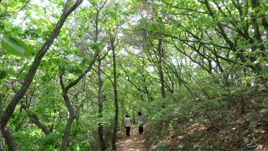 백운산둘레길2코스 이미지