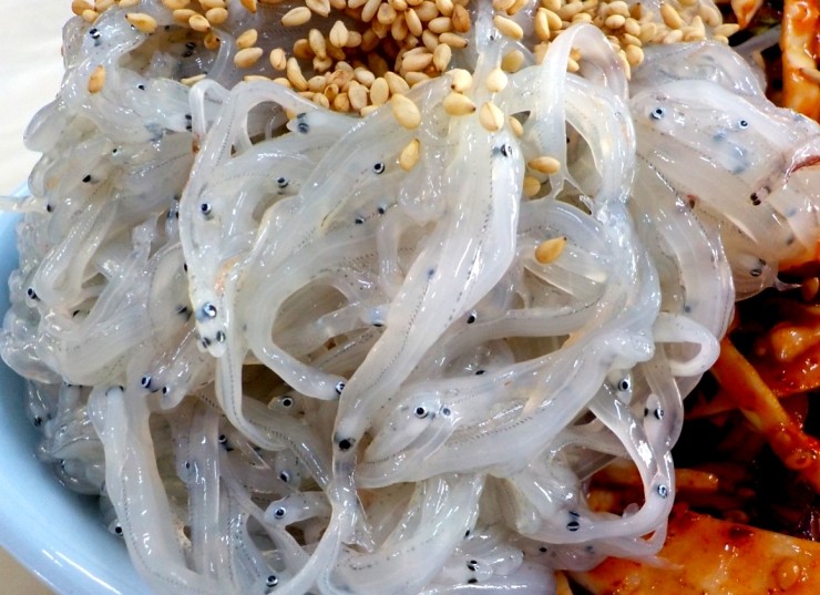5월에 먹는 회, 5월 제철 생선회, 5월에 맛있는 회, 5월 제철 횟감 : 네이버 블로그