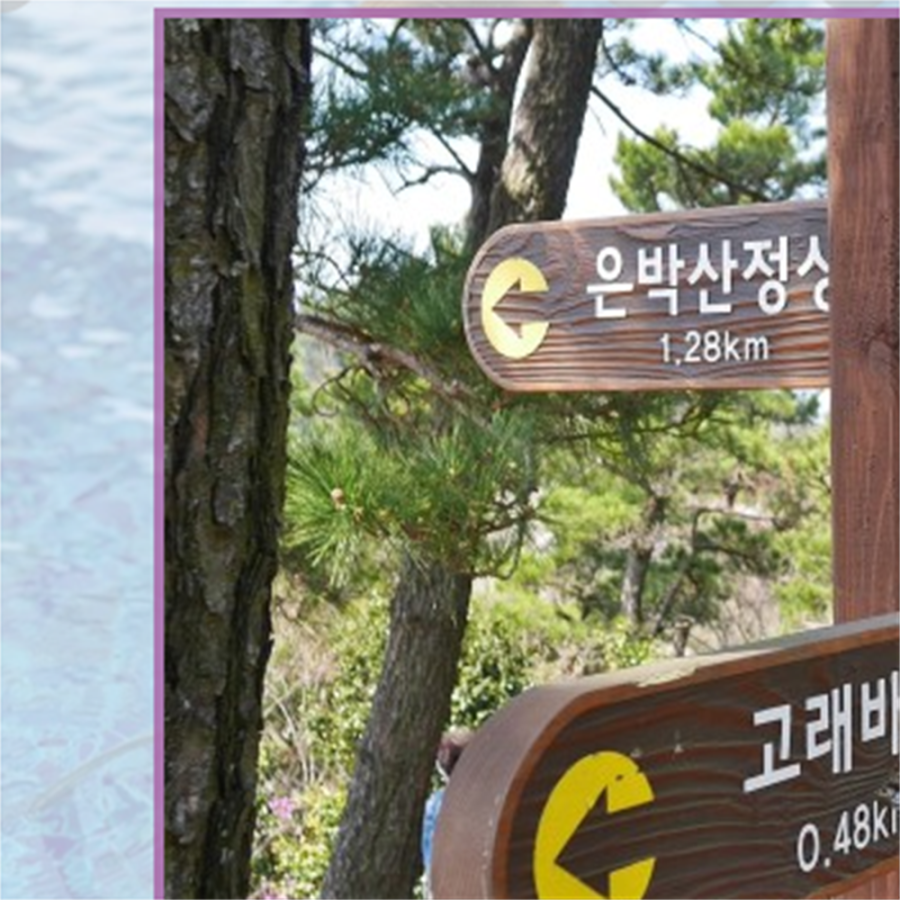 춤추는고래펜션 이미지