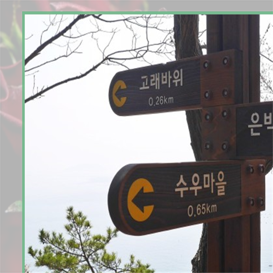 춤추는고래펜션 이미지