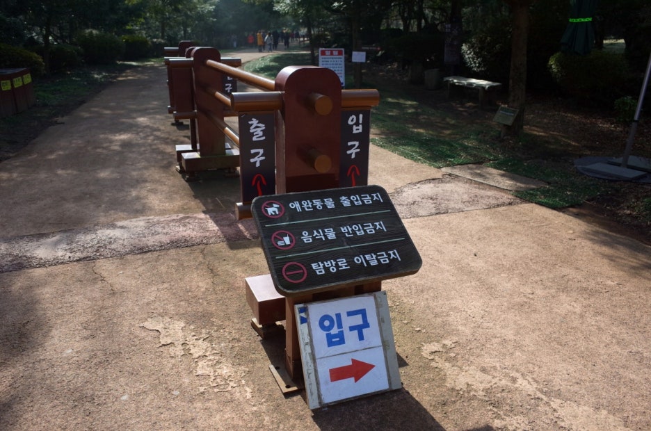제주몬 이미지