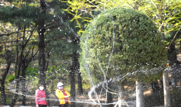 골든코스트 이미지
