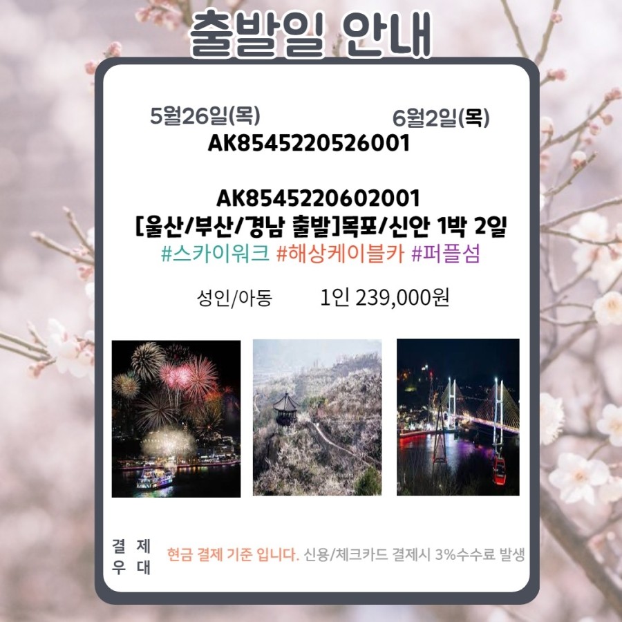 퍼플투어 이미지