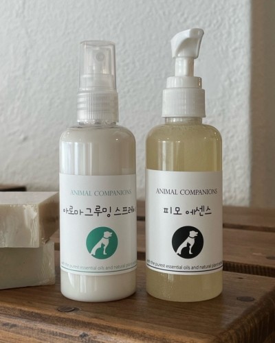 마리앙로제 이미지