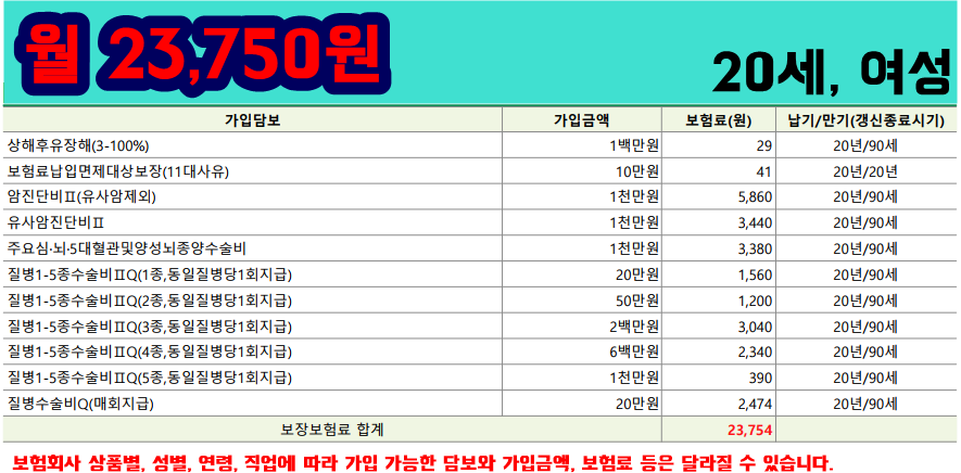 초이더플랜 이미지