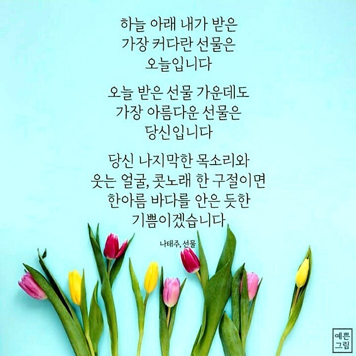 오늘의선물 이미지