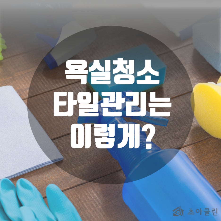 초아클린 이미지