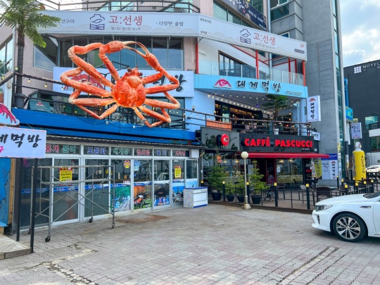 대게플레이스 이미지
