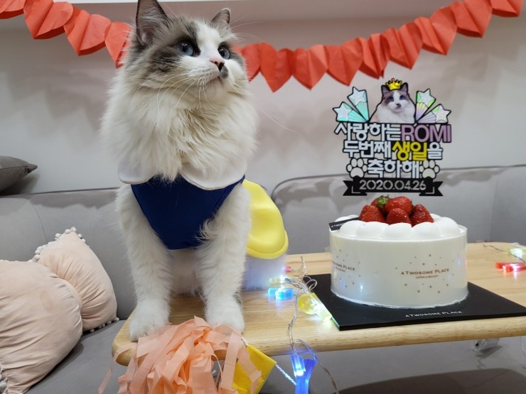 세온아트 이미지