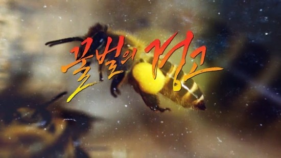 꿀벌PC 이미지