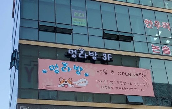 멍다방 이미지