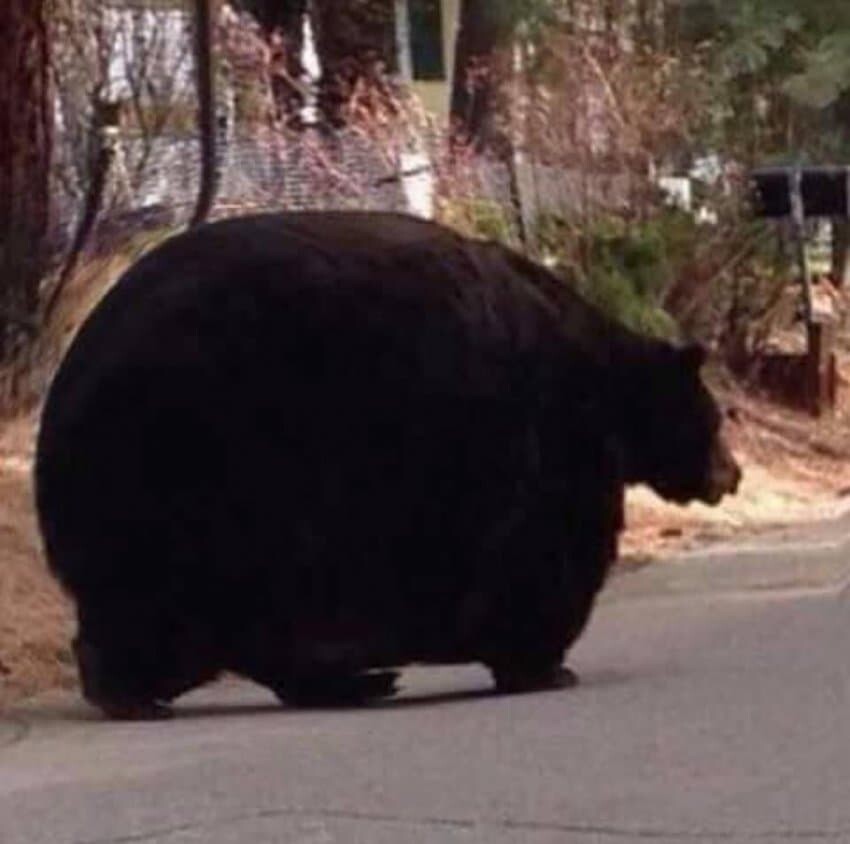 힉 이미지